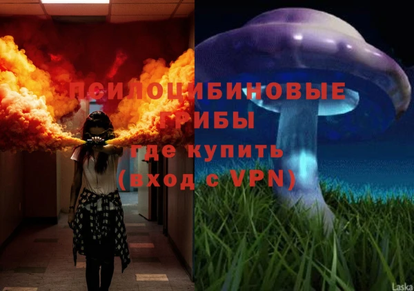 мет Аркадак