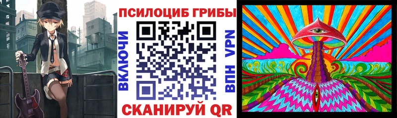 Псилоцибиновые грибы Psilocybine cubensis  мориарти официальный сайт  Стародуб 